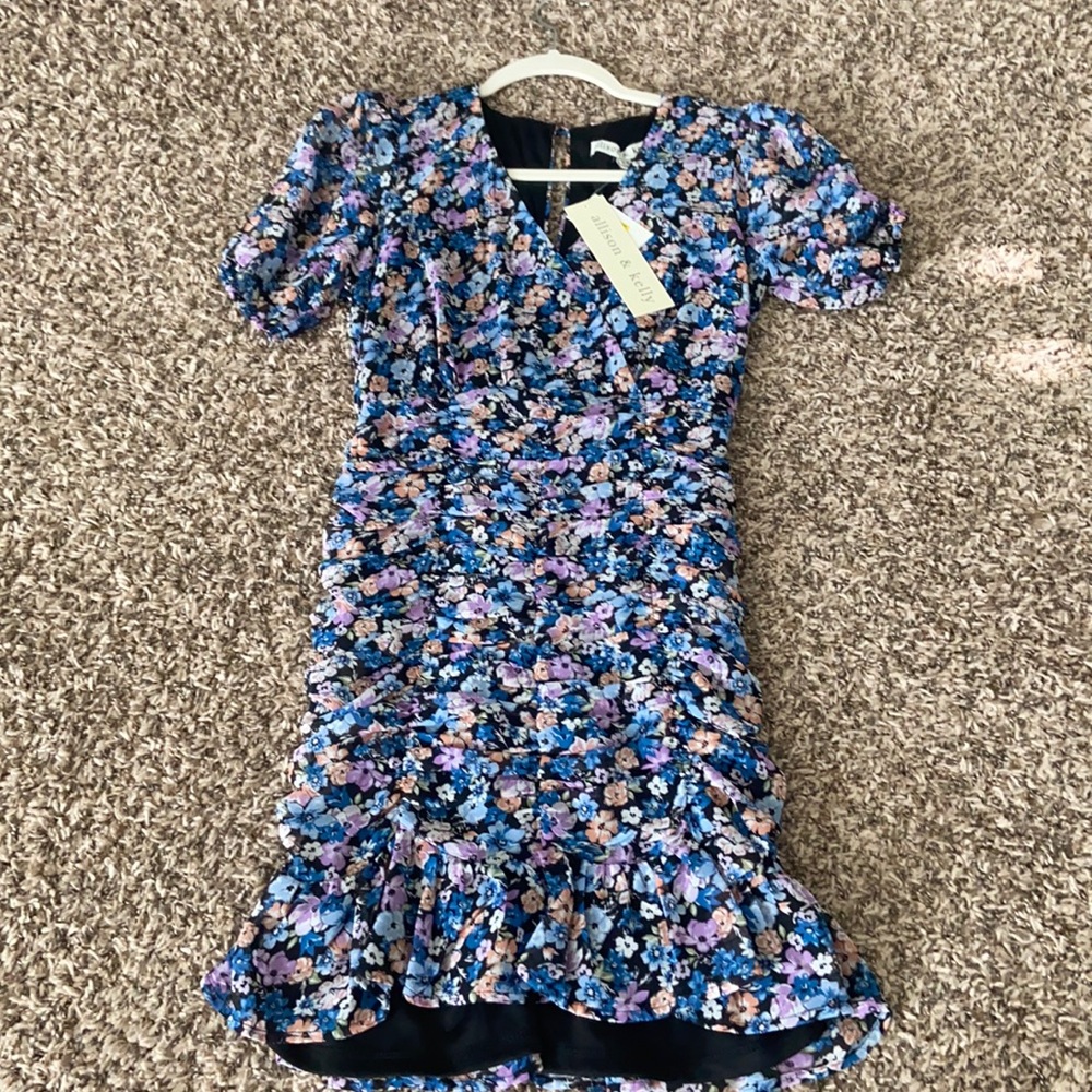 NWT Allison & Kelly dress